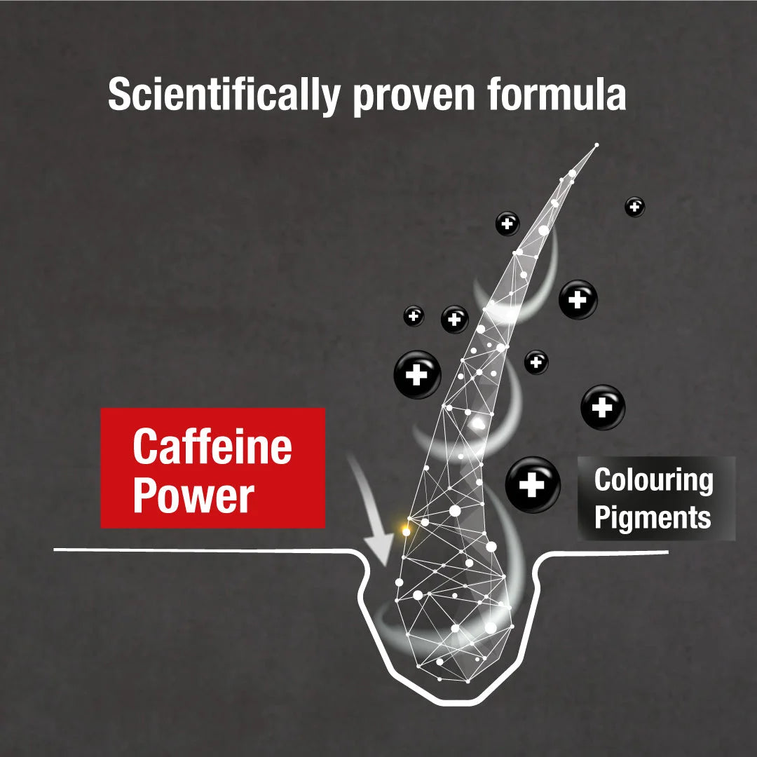 Alpecin Grey Attack Caffeine & Colour Hair Shampoo For Men - 200ml
